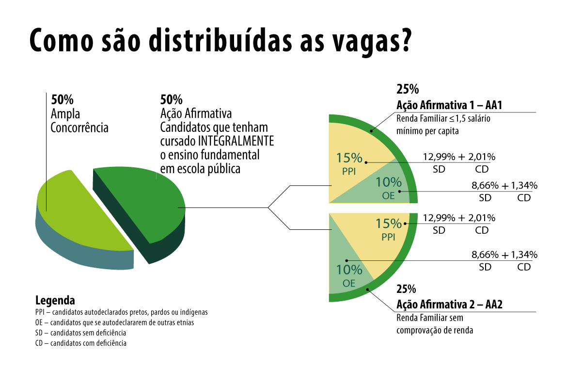 a&ccedil;&otilde;es afirnmativas no Ifes