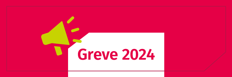 topo pagina greve