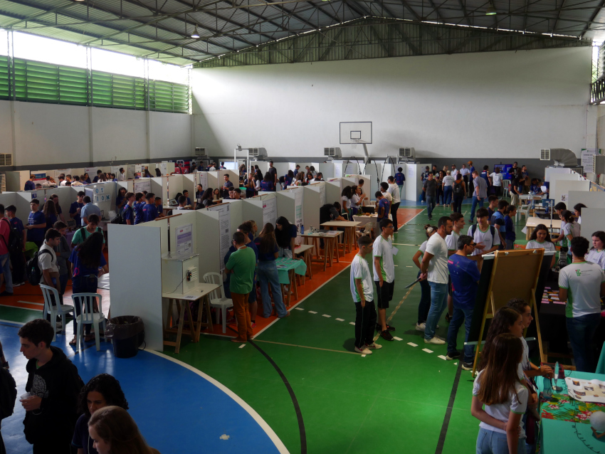 Fecinc cortada dentro